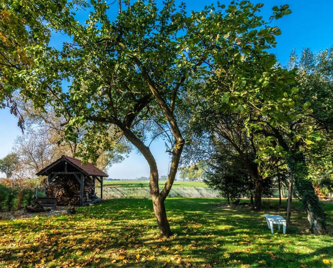 Casa Mia Xix-W Nadmorski Dom Z Ogrodem Cedry Male Εξωτερικό φωτογραφία